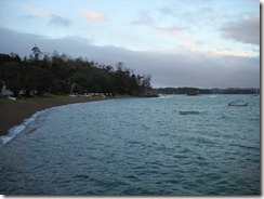 DSCN0673