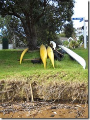 DSCN0682