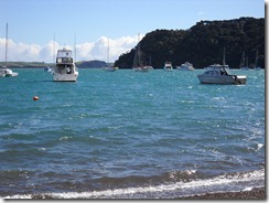 DSCN0699