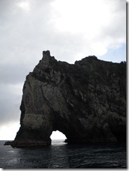 DSCN0734