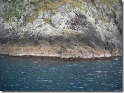 DSCN0742