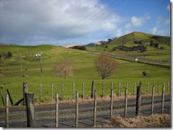 DSCN0854