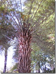 DSCN1094