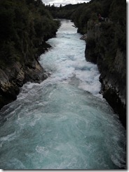 DSCN1113