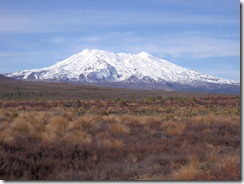 DSCN1135