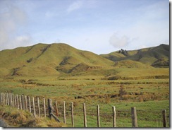 DSCN1146