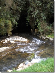 DSCN1159