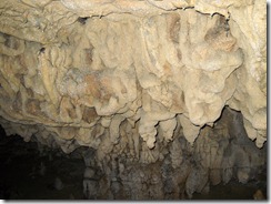 DSCN1168