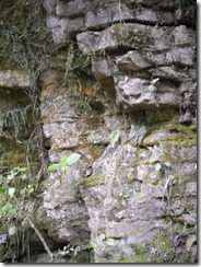 DSCN1185