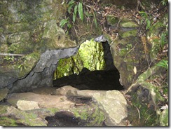 DSCN1204
