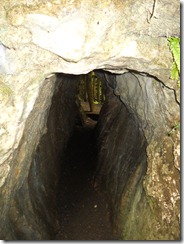 DSCN1209