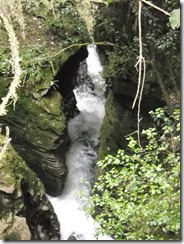 DSCN1217