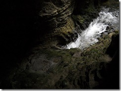 DSCN1226