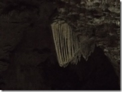 DSCN1232