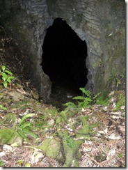 DSCN1249