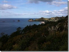 IMG_0956