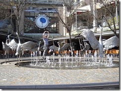 DSCN1747