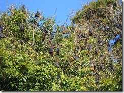 DSCN1870