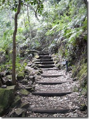 DSCN1952