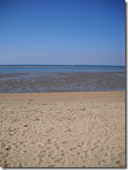 DSCN2356