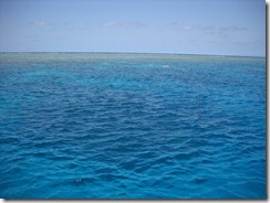 DSCN3306