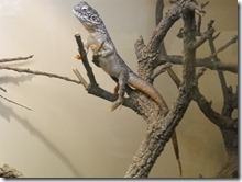 DSCN3355