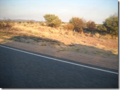 DSCN3392