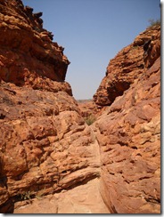 DSCN3409