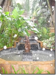 DSCN0007
