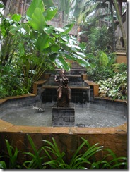 DSCN0008