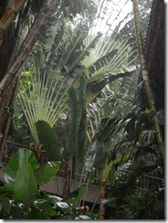 DSCN0009