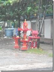 DSCN2324