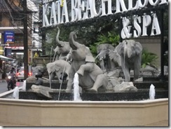 DSCN2339