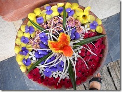 DSCN2364