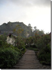 DSCN2370