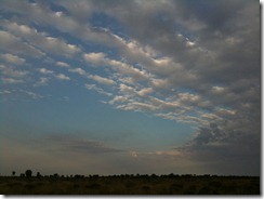 IMG_1796