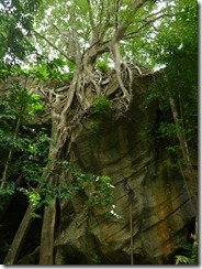 P1000132