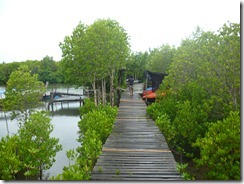 P1000174