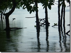 P1000196