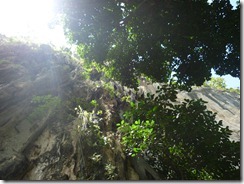 P1000317