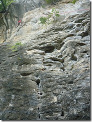 P1000437
