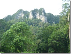 P1000515