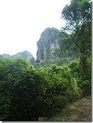 P1000519